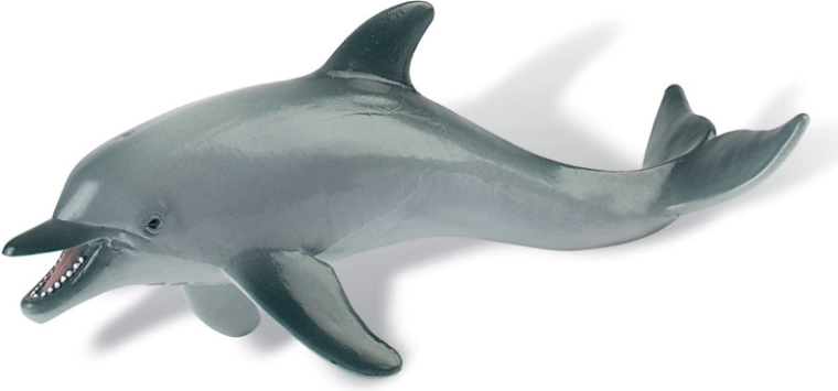 Delfin
