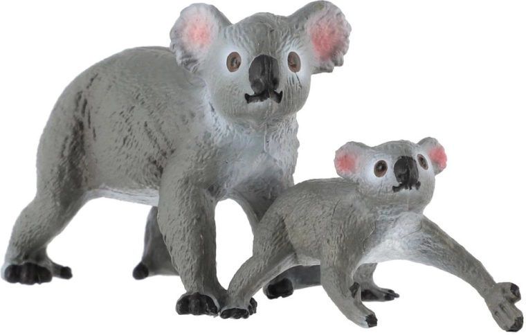Koala med unge
