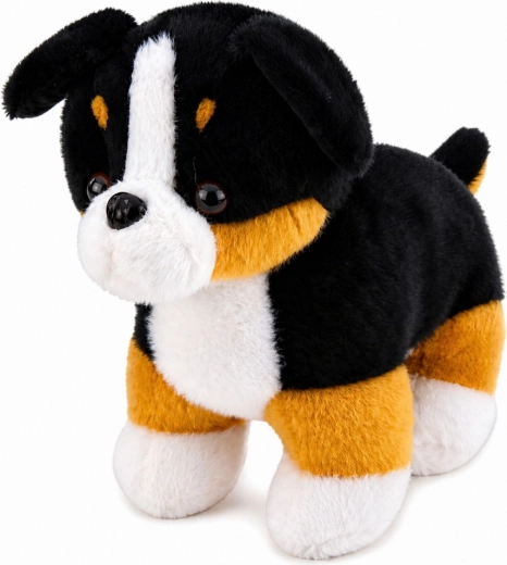 Realistisk bernese sennenhund-udseende