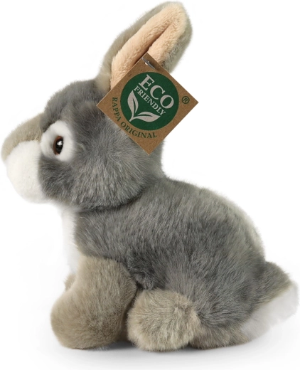 Eco-Friendly-fyld