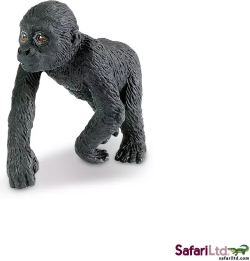 Ung lavlandsgorilla