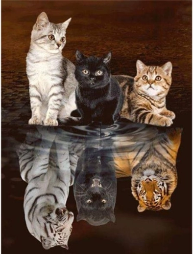 Diamantbroderi (diamond painting) spejlbillede – tre katte 30 × 40 cm - 1 stk.