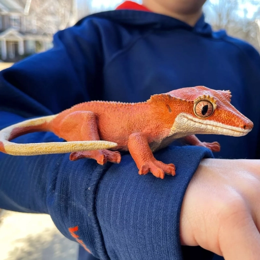 Målestok 1:1 – som en rigtig gekko
