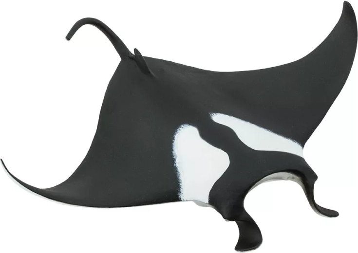 Safari Ltd. kæmpe manta (figur) - 1 stk.