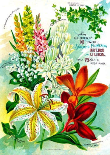 Enjoy puslespil Vintage blomsterkatalog 1000 brikker