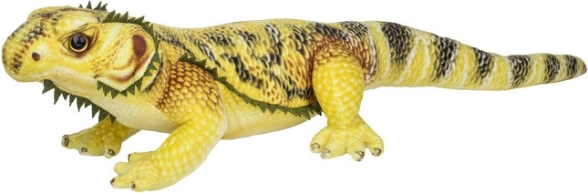 Gul plyfirben 50 cm