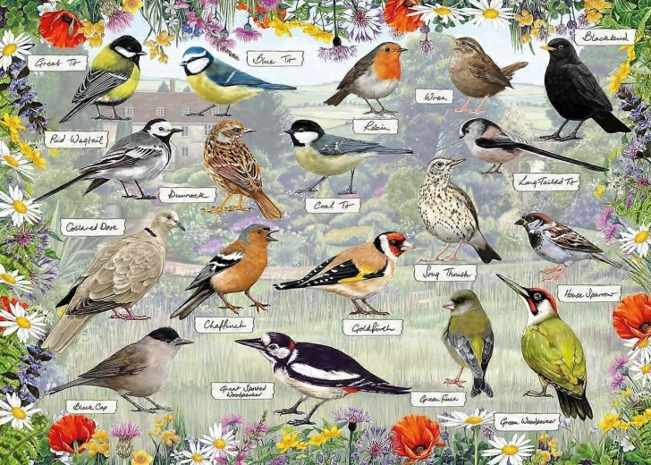 Gibsons puslespil RSPB: Glade fugle 1000 brikker
