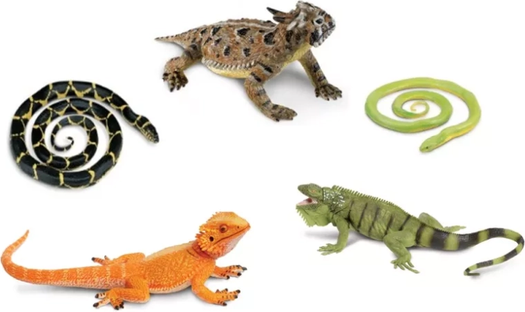 Safari Ltd. slanger og firben – sæt med 5 figurer