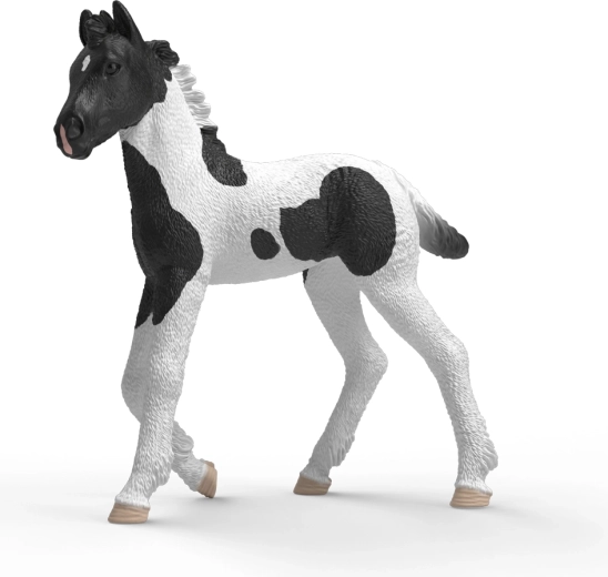 Schleich Horse Club samlerføl Rocky - 1 stk.