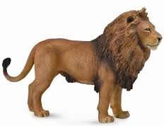 Figur af afrikansk løve COLLECTA