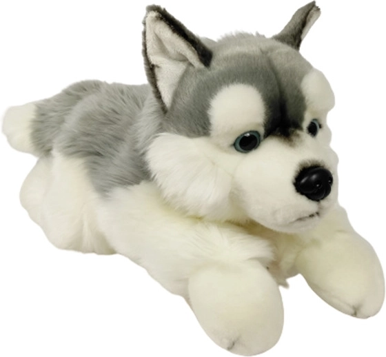 Plys husky 61 cm