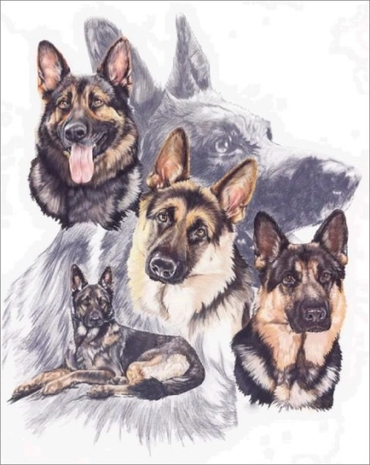 Diamantbroderi (diamond painting) - tyske hyrdehunde 30 × 40 cm - 1 stk.