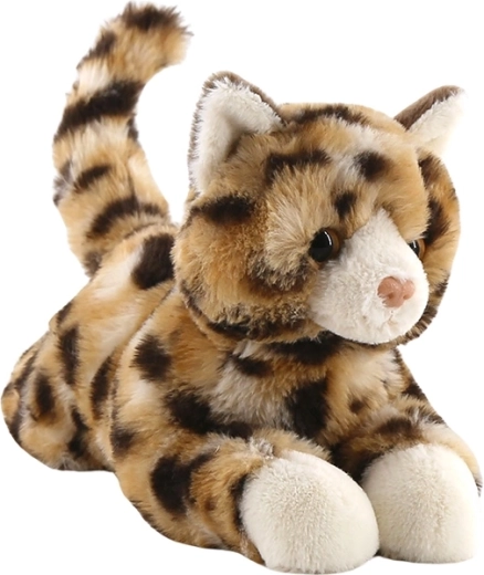 Plysbengalsk kat 26 cm