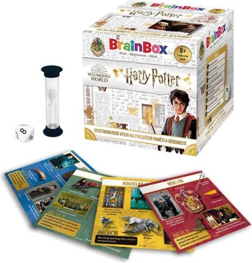 BrainBox spil Harry Potter