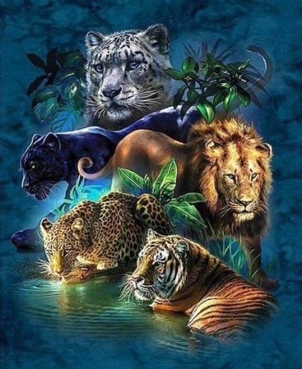 Diamantmaleri Safari-dyr 30 × 40 cm