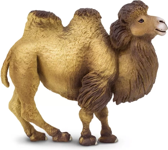 Safari Ltd. baktrisk kamel (to pukler) figur