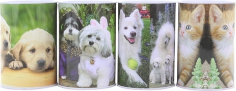 Met sparebøsse i metal med hunde og katte