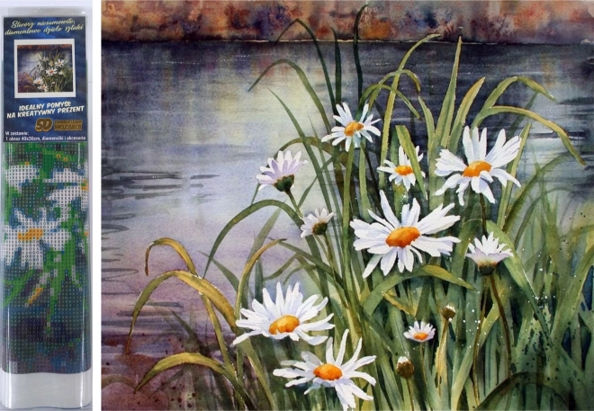 Diamantmaleri margueritter ved vandet 30 × 40 cm