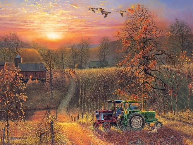 Puslespil COBBLE HILL Pause XL 275 brikker