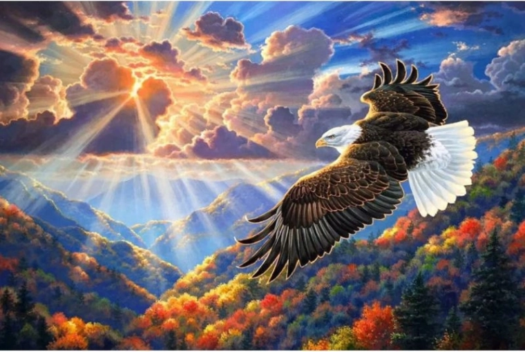 Diamantmozaik (diamond painting) ørn på himlen 40 × 30 cm