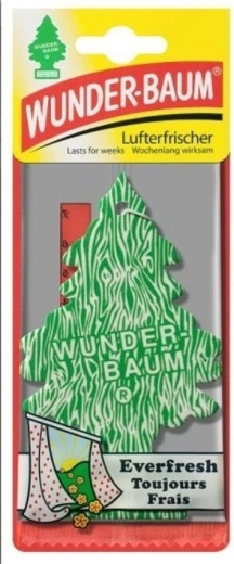 Dufttræ WUNDER-BAUM Everfresh