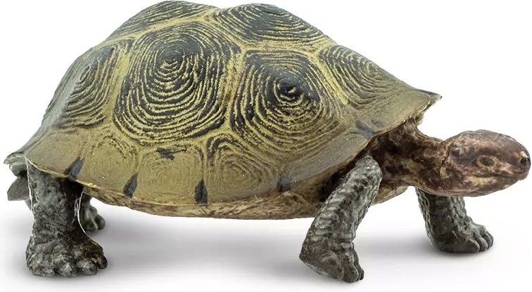 Safari Ltd. ørkenskildpadde-figur