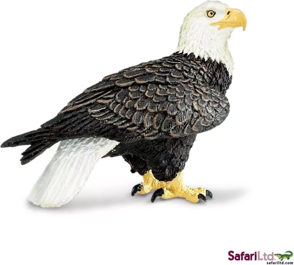 Safari Ltd. hvidhovedet havørn