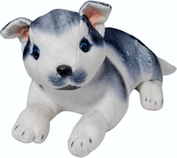 Plys hund husky