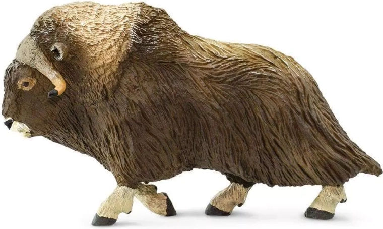 Safari Ltd. moskusokse figur