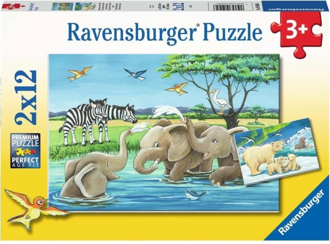 Ravensburger puslespil Dyreunger 2×12 brikker