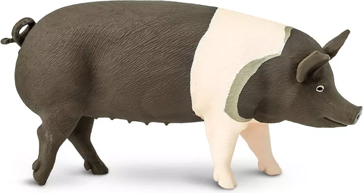 Figur af Hampshire-gris Safari Ltd. – 1 stk.