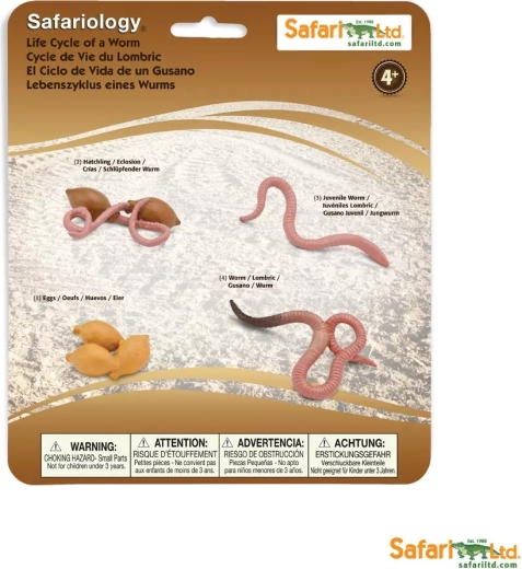 Safari Ltd. livscyklus for guldsmed