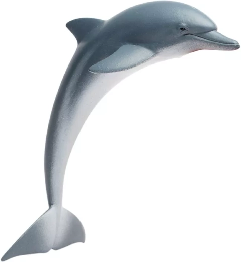 Delfin Safari Ltd. - 1 stk.