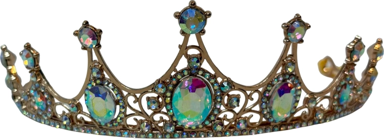 PINK Enchanted Tiara-hårbøjle