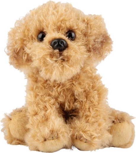 Plys-hund Labradoodle