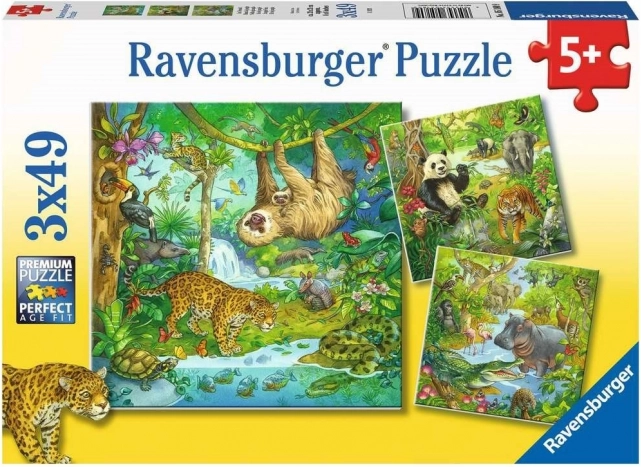 RAVENSBURGER puslespil Dyr i junglen 3x49 brikker
