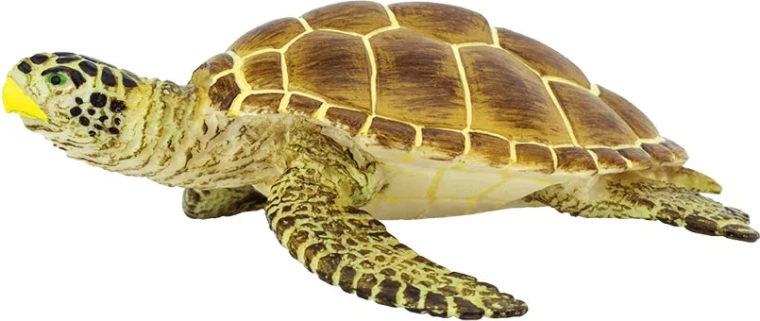Safari Ltd. almindelig karetteskildpadde - 1 stk.