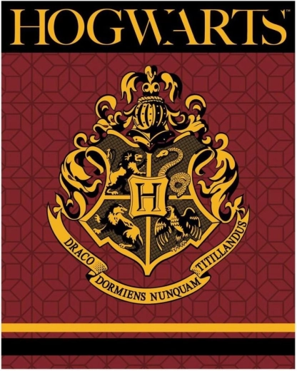 Fleecetæppe Harry Potter XL