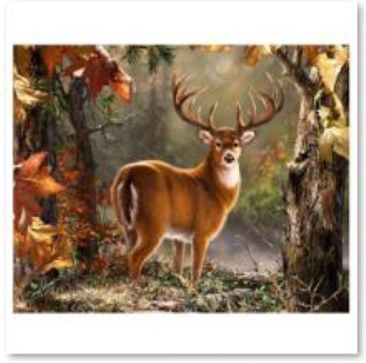 Diamantmaling (diamond painting) – majestætisk hjort 40 × 30 cm