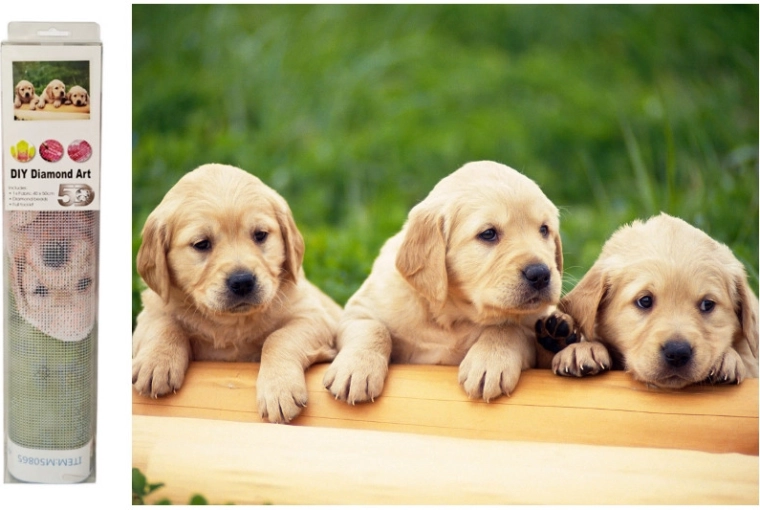 Diamantmozaik Hunde labradorer - 1 stk.