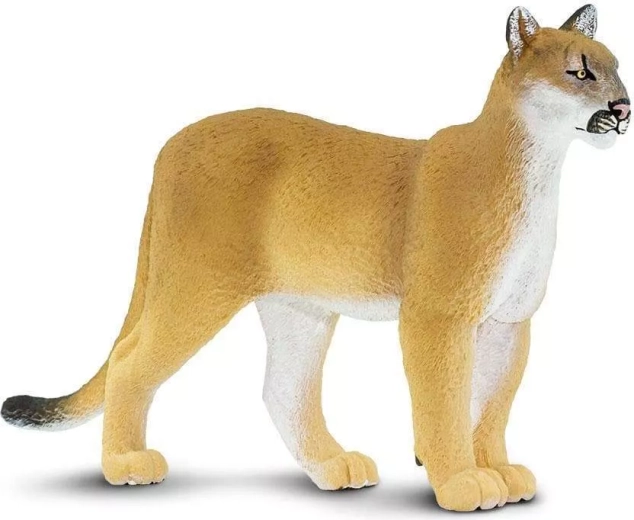 Figur af Florida-puma Safari Ltd. - 1 stk.