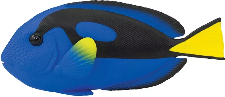 Safari Ltd. figur af broget kirurglæbefisk – 1 stk.