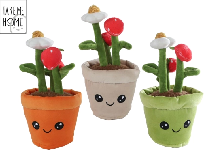 Plysbær-plante Take Me Home 23 cm