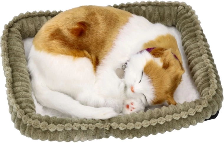 Perfect Petzzz åndende kat Soriano 3+