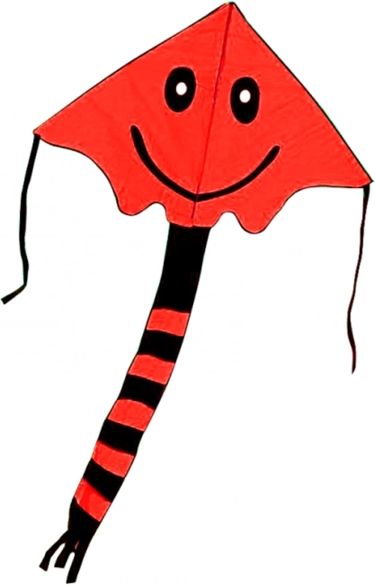 Flyvende drage med smil 80 × 60 cm