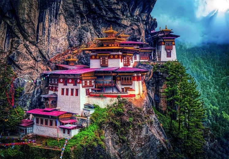 Clementoni puslespil Tigers Nest 500 brikker