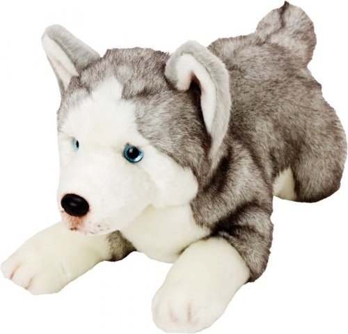 Plys-hund Husky