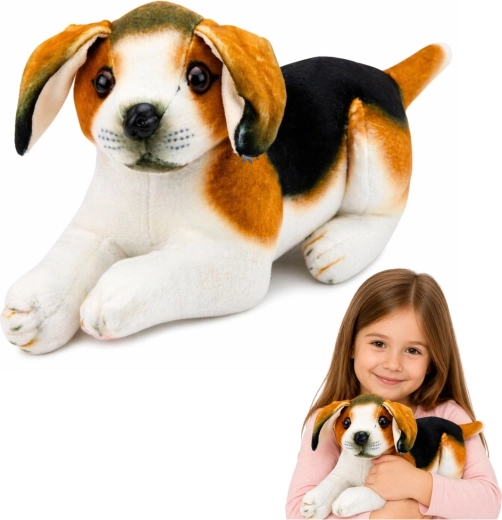 Plysbeagle 25 cm