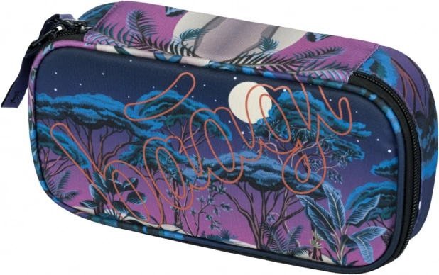 BAAGL penalhus etui Skate Night