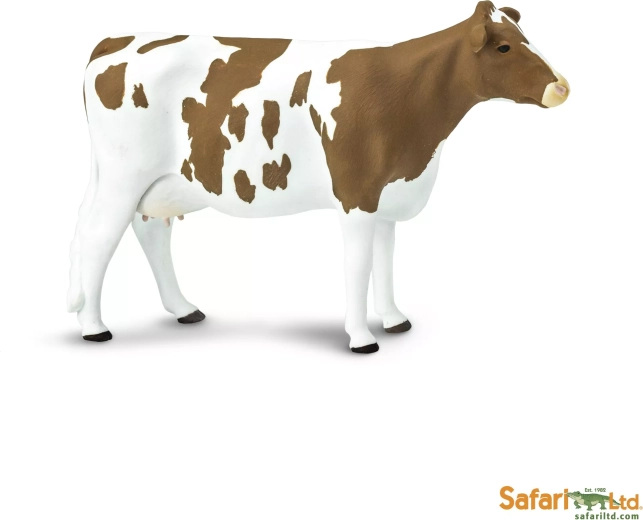 Safari Ltd. ayrshirekvæg